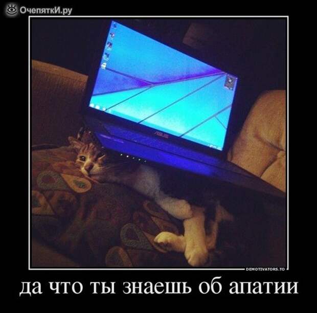 Демотиваторы перед новым годом 7