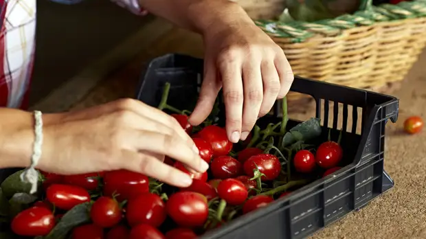 Составлен рейтинг необычных вакансий в России в январе