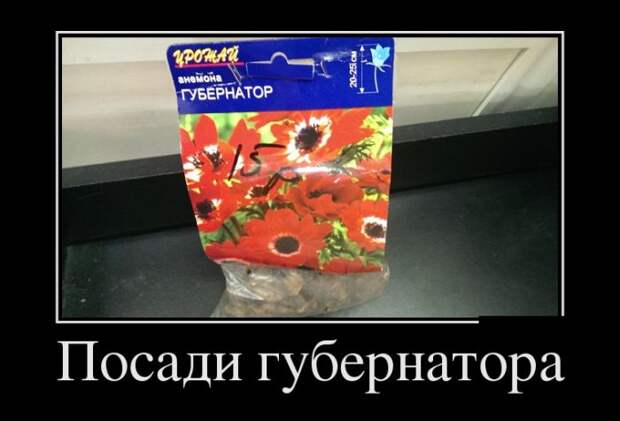 Демотиваторы №1061 (30 фото)