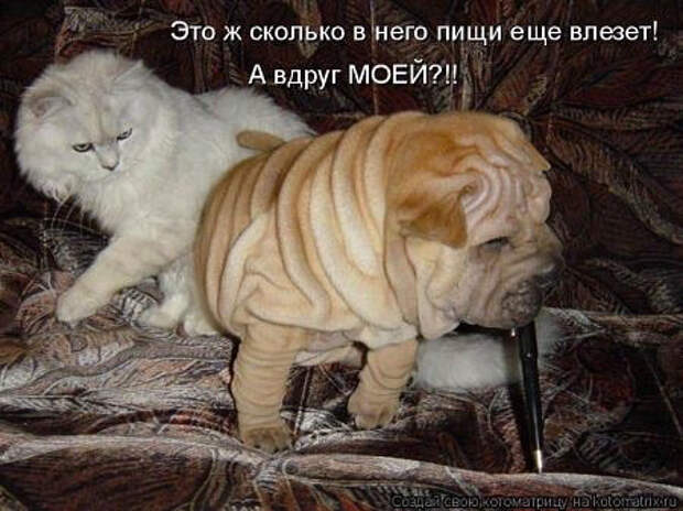 image (450x337, 152Kb)