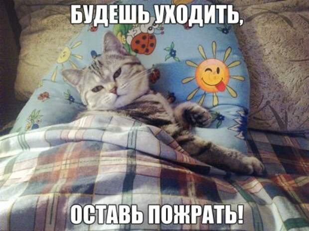 Новые фото приколы и очередной совет дня.