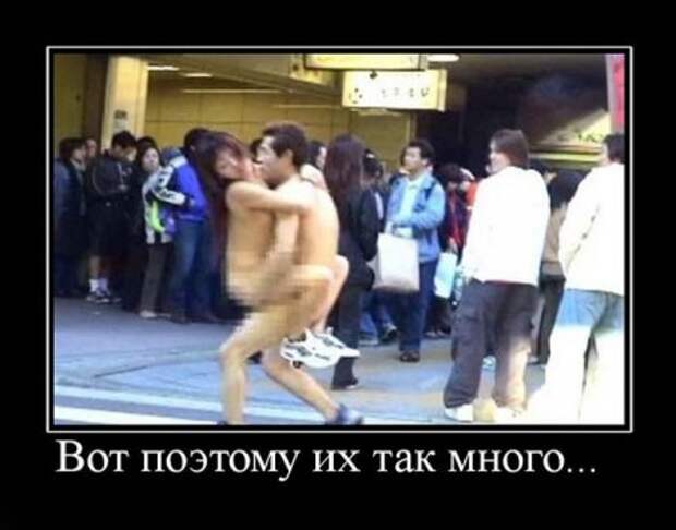 Демотиваторы забавные, новые и только прикольные для вас!