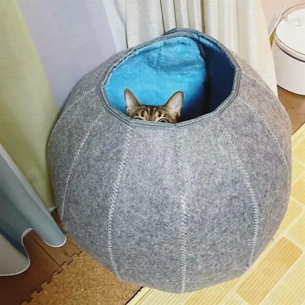 ?