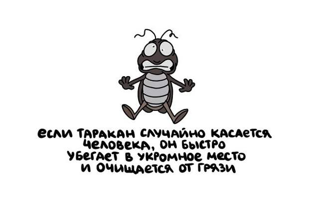 Короткие интересные факты на все случаи жизни