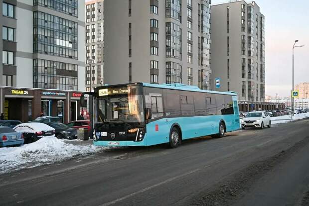 Поляков: от ЖК Parkolovo до "Проспектf Просвещения" запустили автобус