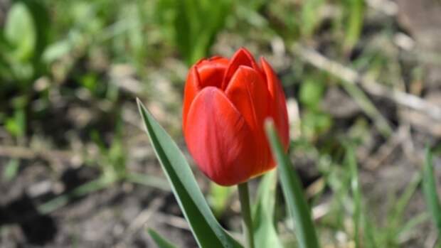 Гидрометцентр предупредил жителей нескольких регионов об аномальной погоде