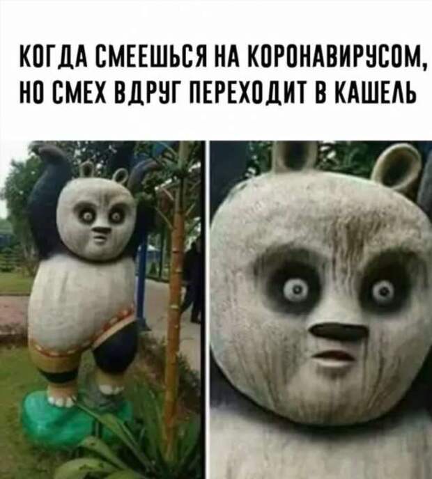Демотиваторы про коронавирус с надписями. Подборка chert-poberi-dem-koronavirus-chert-poberi-dem-koronavirus-49310614122020-16 картинка chert-poberi-dem-koronavirus-49310614122020-16
