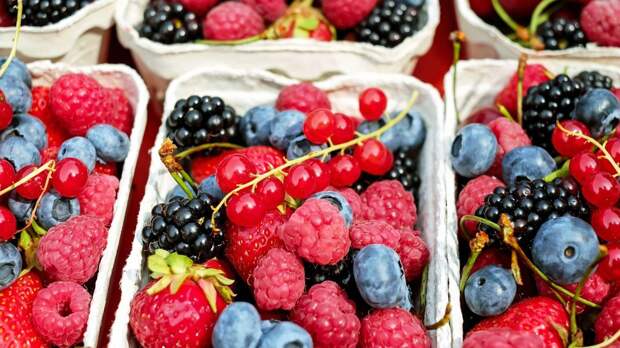 Сербские медики назвали фрукты и ягоды с самым низким содержанием сахара