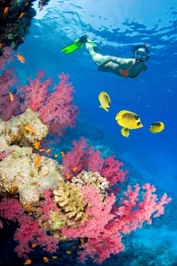 Snorkeling11 25 лучших мест для сноркелинга
