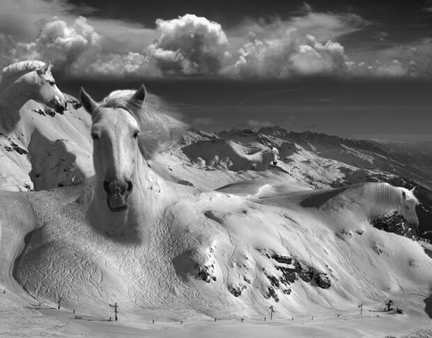 Уникальны сюрреалистичные фотографии сюрреалистичные фото, художник, искусство