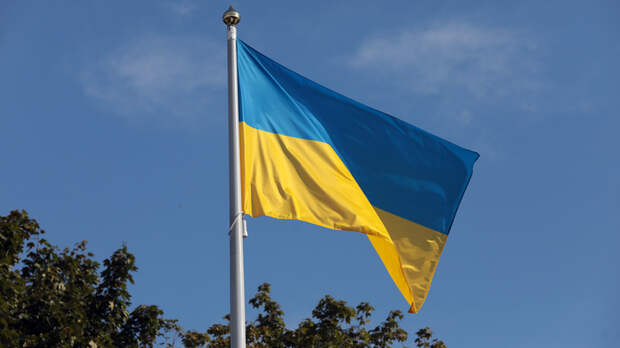 В России задержали банду украинских радикалов. Массовые убийства тренировали на бездомных В России задержали банду украинских радикалов. Массовые убийства тренировали на бездомных