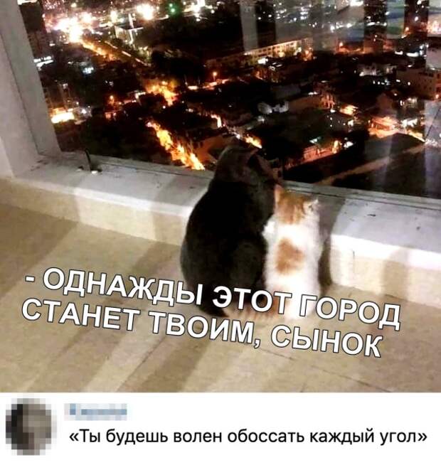 www.vsyako.net