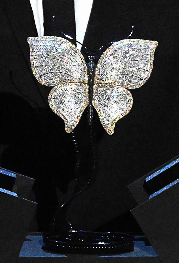 Кинопремия «Бриллиантовая бабочка»