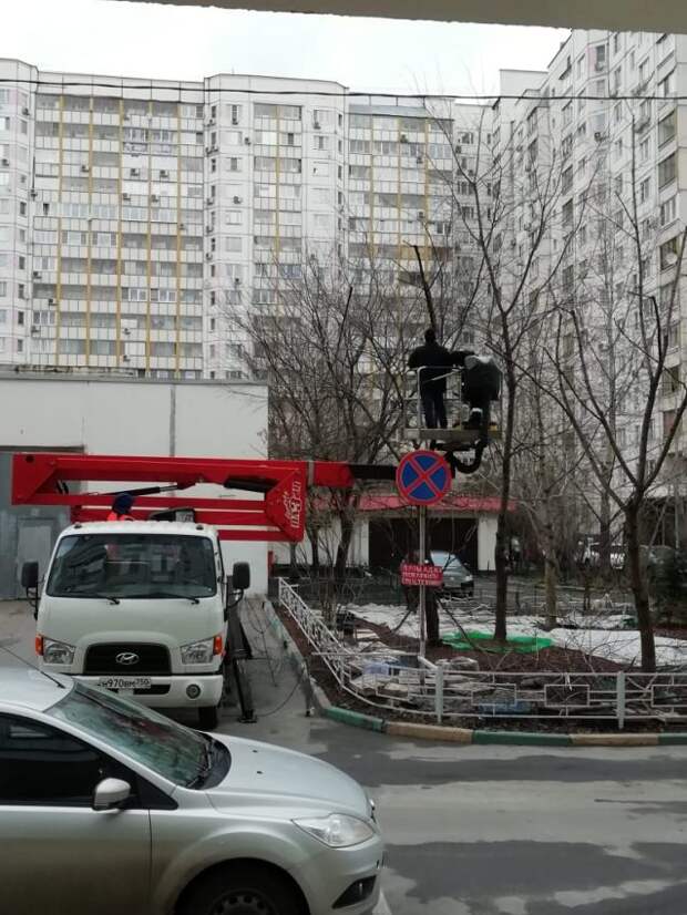 Фото: управа района Войковский