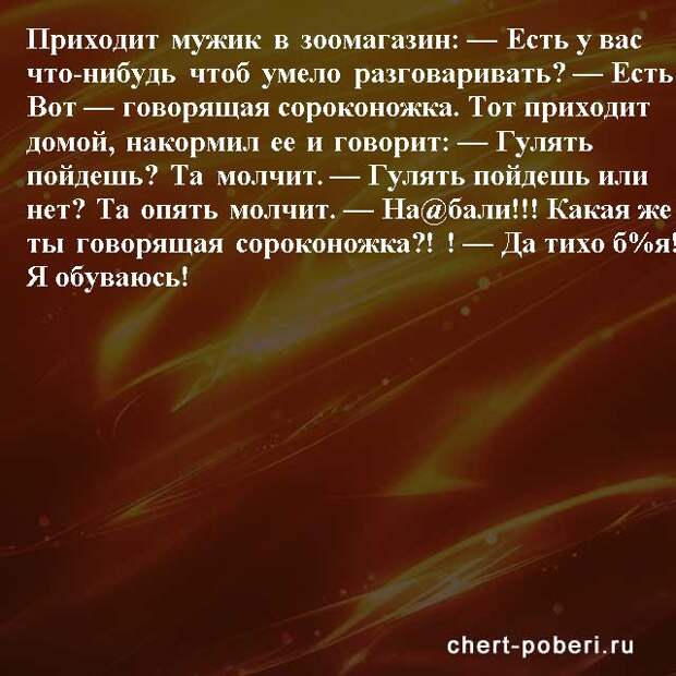 Самые смешные анекдоты ежедневная подборка chert-poberi-anekdoty-chert-poberi-anekdoty-12090625062020-20 картинка chert-poberi-anekdoty-12090625062020-20