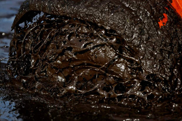Фестиваль грязи Okeechobee Mudfest (38 фото)