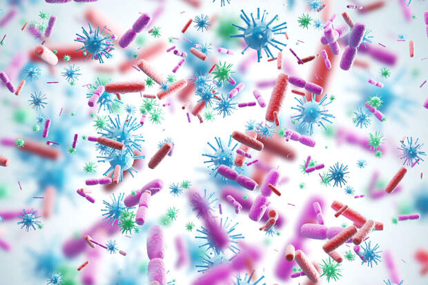 NatIm: распространеный герпесвирус может повышать риск парализующей болезни