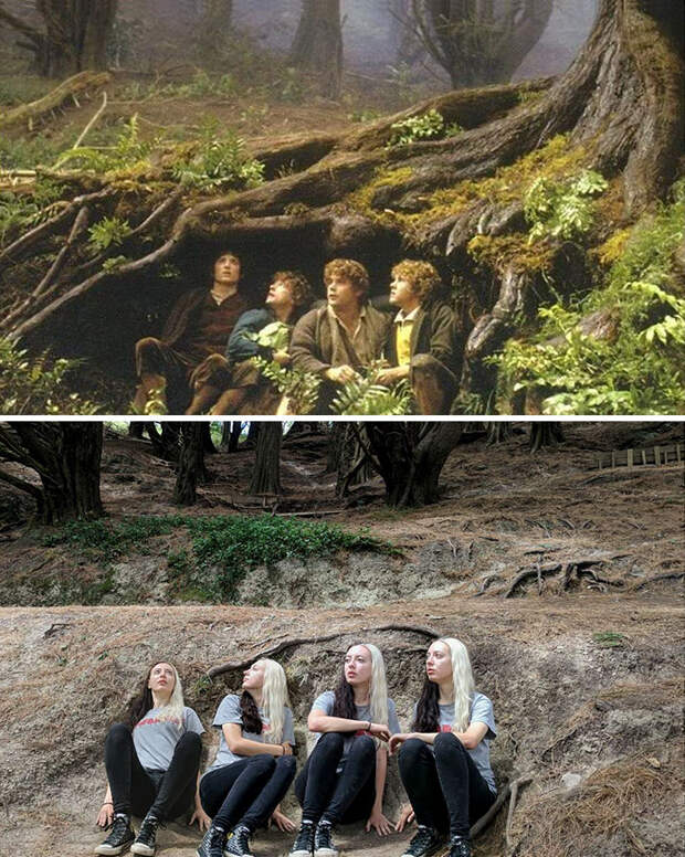 Hiding From The Nazgul In Hobbit's Hideaway In Wellington