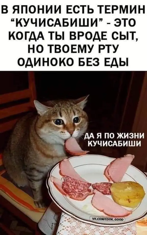 - Объявляю вас мужем и женой! - Как мужем! ? Ты же говорила в театр пойдeм! - Объявляю вас мужем и женой! - Как мужем! ? Ты же говорила в театр пойдeм! Мужик, колодец, мужик, совсем, смотрит, Подозрительно, нюхает, рядом, когда, Оттягивает, Берет, бросает, живота, берет, очень, крылья, хотелось, пляже, кавалерам, сексапильно