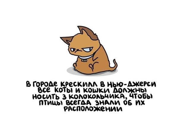 Короткие интересные факты на все случаи жизни
