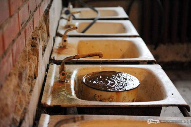 Жители военного городка (10 фото)