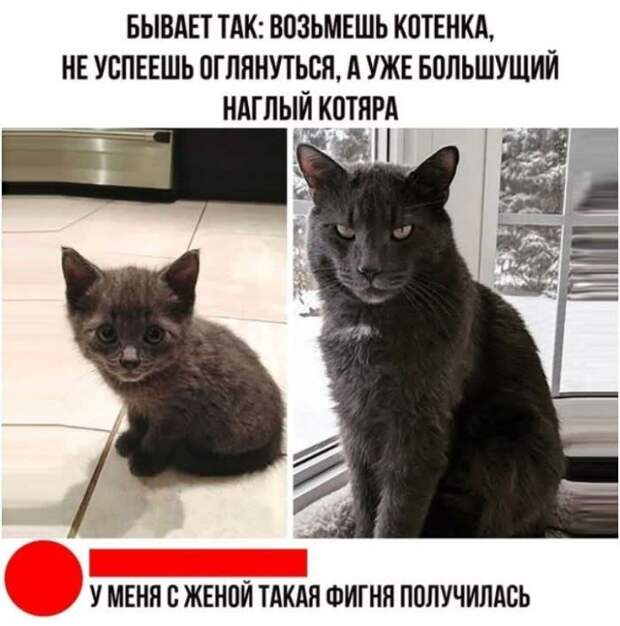 По статистике, люди, которые недавно посетили стоматолога, реже лезут в драку и вообще следят за своими словами