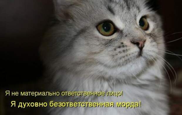 Мысли вслух :)