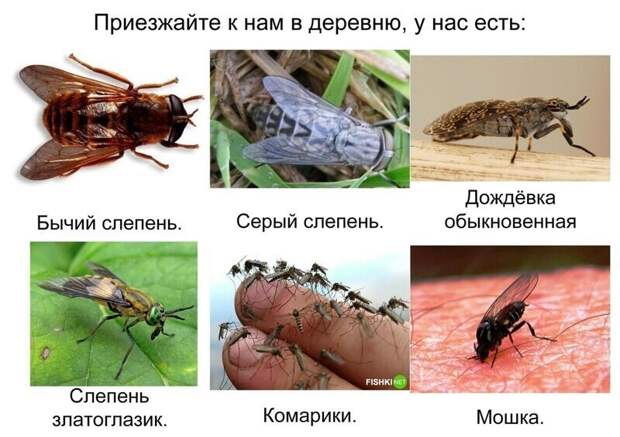 Уж лучше вы к нам