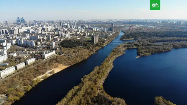 Арендаторам и собственникам земли в Москве одобрили отсрочку платежей на 5 миллиардов рублей