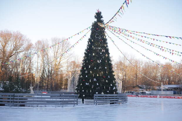 Организаторы фестиваля Winter Fest проведут для  детей бесплатную экскурсию-прогулку по Елагину острову