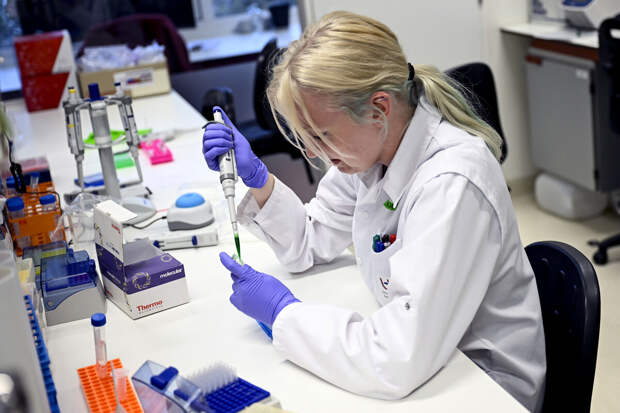 Роспотребнадзор начал проверку в связи с новым случаем оспы обезьян в Петербурге