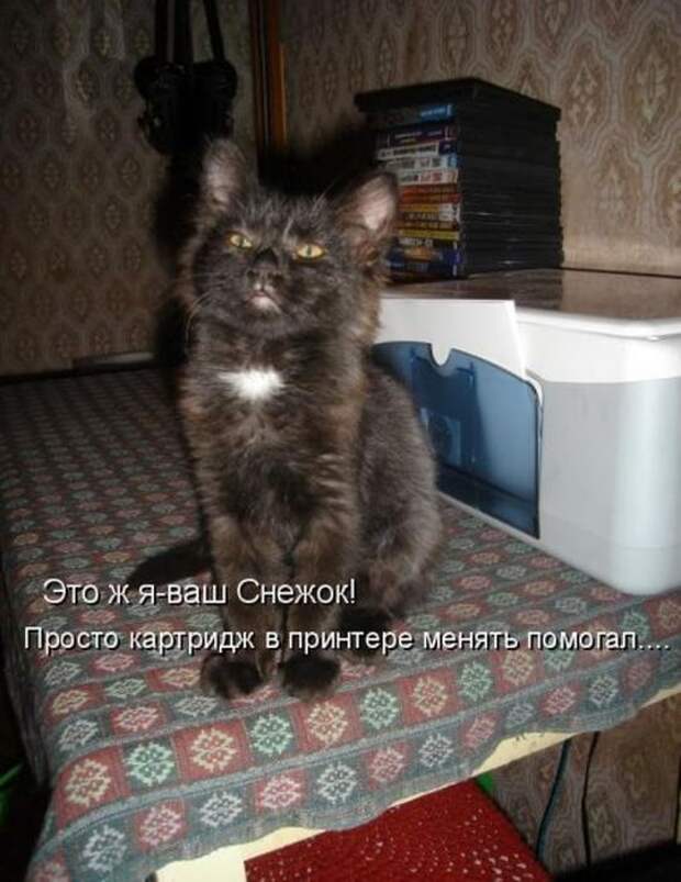 Мысли вслух :)