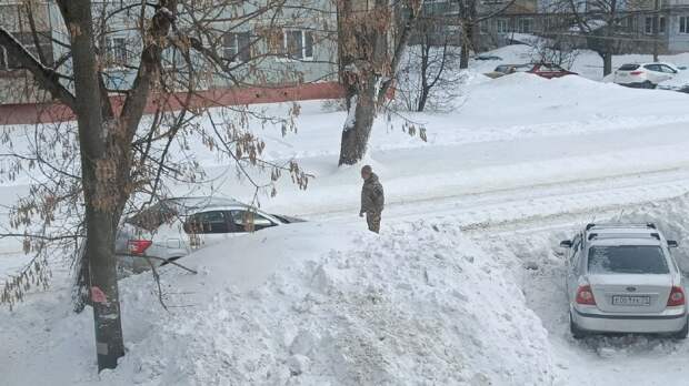 На улице Плеханова в Туле трамваи встали на путях из-за припаркованных машин