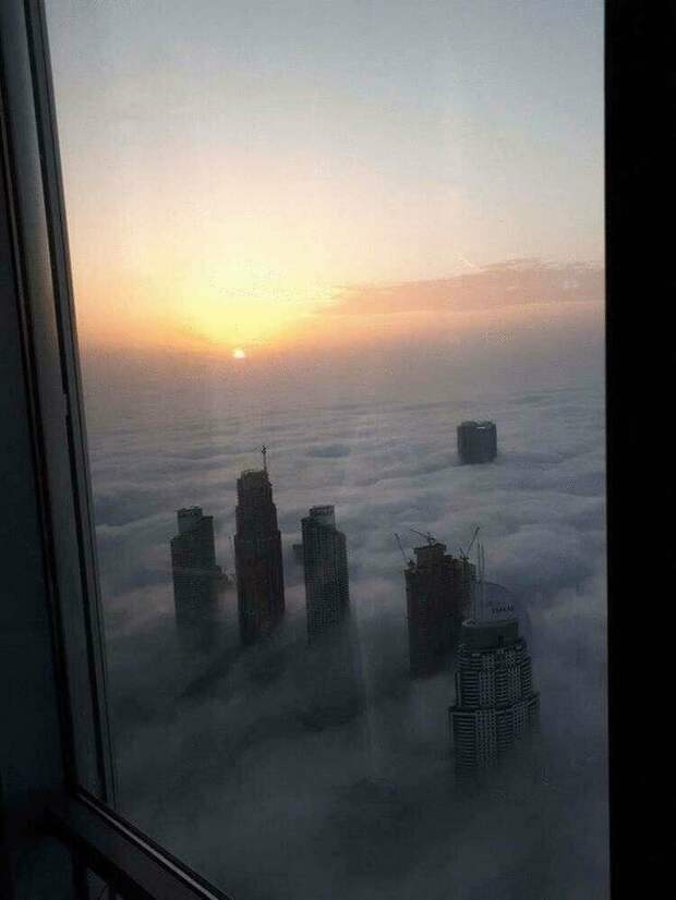 15 удивительных фотографий, увидев которые хочется воскликнуть: «Как так?!»