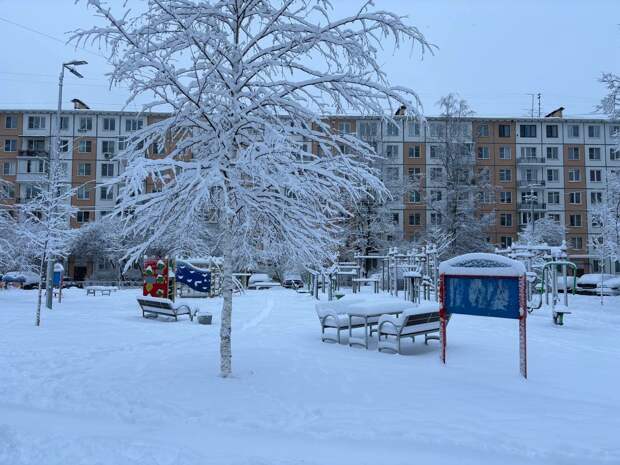 В Петербурге будет морозно