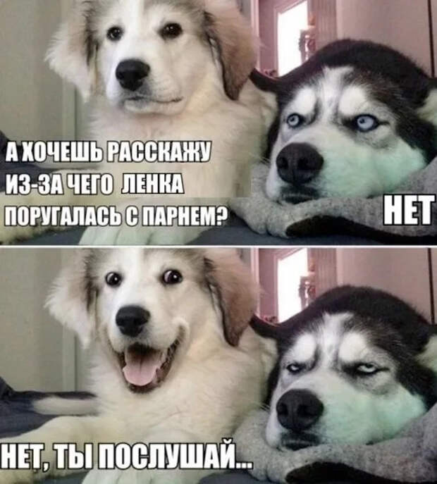 Встречайте пятницу с улыбкой!