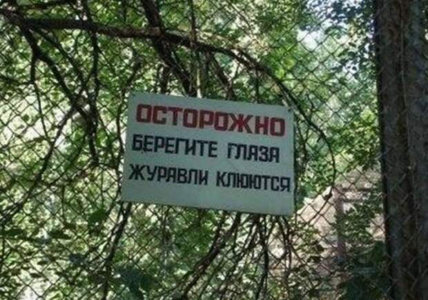 журавли