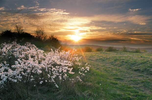 Фото жизнь - mondtag3106 - Пейзажи - Весенний закат