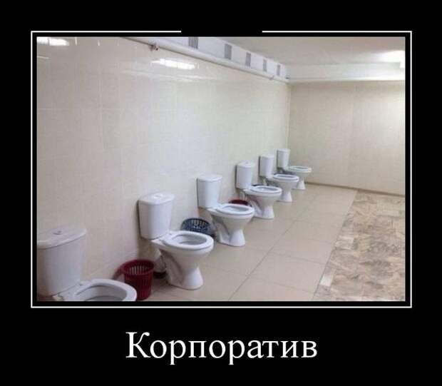 Демотиваторы (30 фото)
