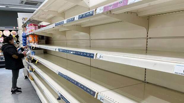 Сенатор Климов: Евросоюзу грозит голод и огромный рост цен из-за ограничения торговли с Россией