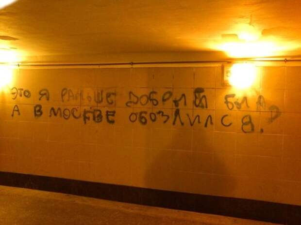 Прикольные картинки Прикольные картинки