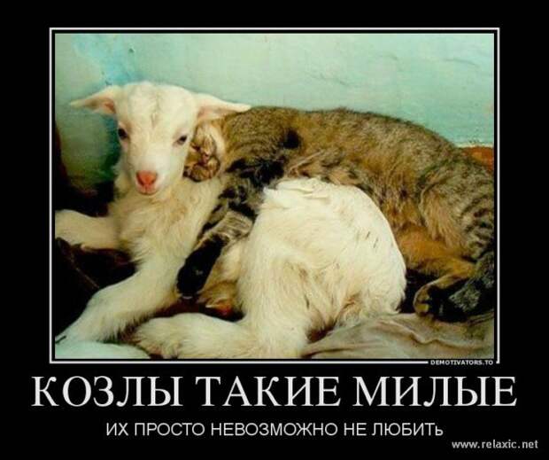Всё в кучу 6