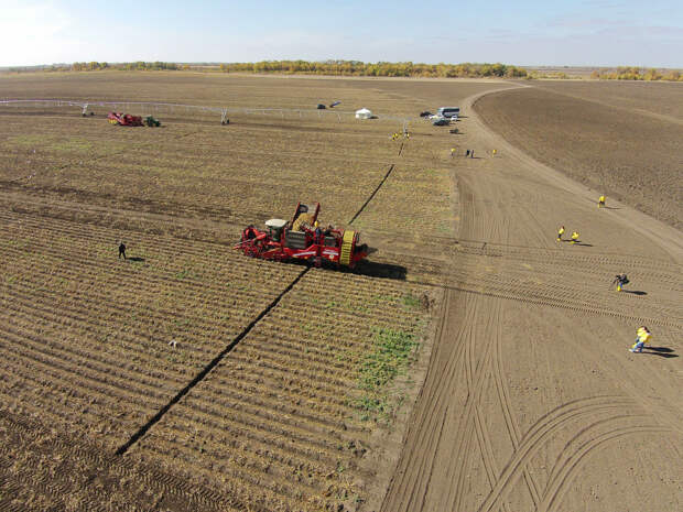 64 Как производят чипсы Lays