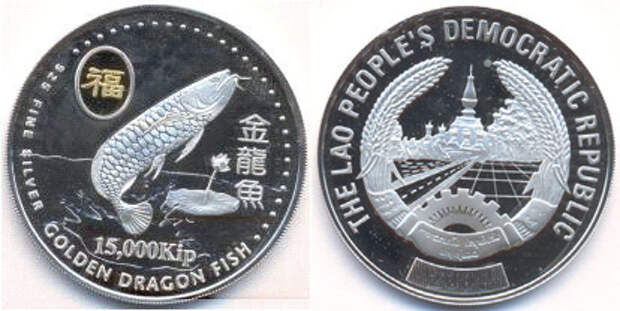 монета рыба-дракон