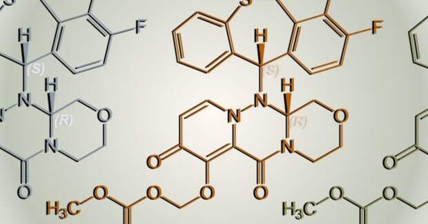Высокие дозы балоксавира спасают хорьков от смертельного гриппа H5N1