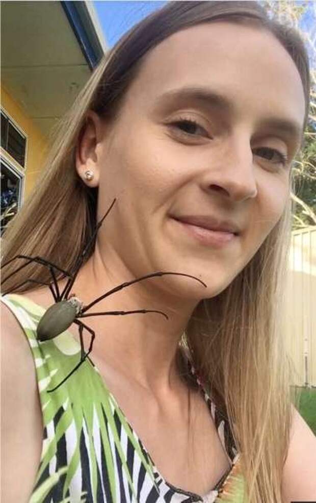 Релакс не для слабонервных: австралийка снимает стресс, разрешая паукам ползать по лицу