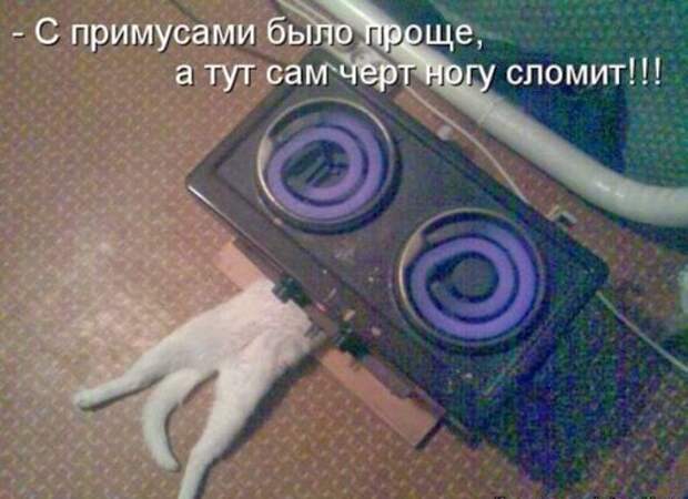 89c31bdf2d786eac1f5e0b60009_prev