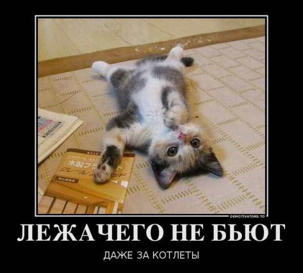 Немного новых демотиваторов