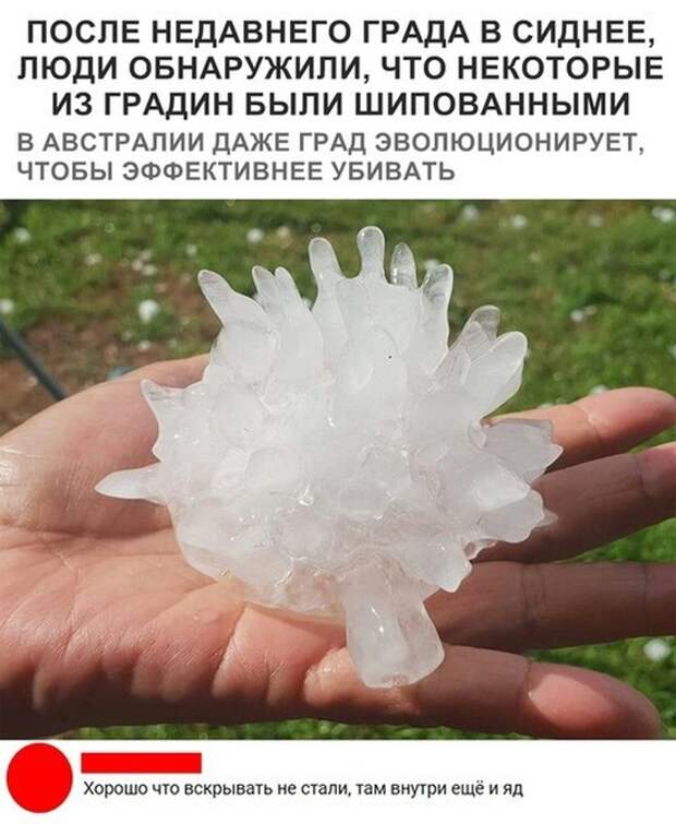 Юмор, шутки и комментарии из социальных сетей (22 скриншота)