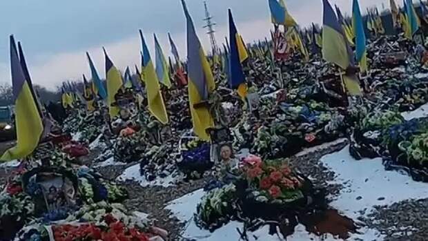 На Украине идёт полным ходом формирование трёх «штурмовых бригад» Нацгвардии, которые будут брошены в...